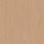 Maple Wood Veneer