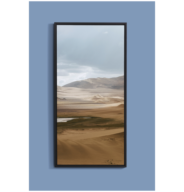 Mute Print in Aluminium Frame - Desert photo
