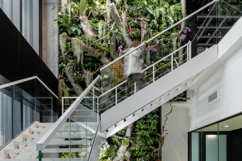 CMS Warszawa Staircase with floral wall